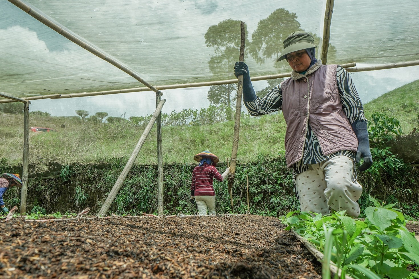 Les innovations derrière le projet Agroloop Dabou